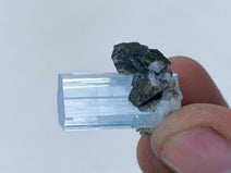 Gorgeous Aquamarine Crystal combined with Muscovite Flower