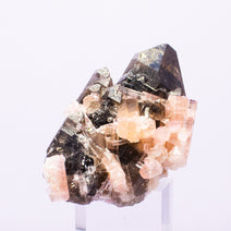 Pink Elbaite Tourmaline Crystals on Gorgeous Smoky Quartz