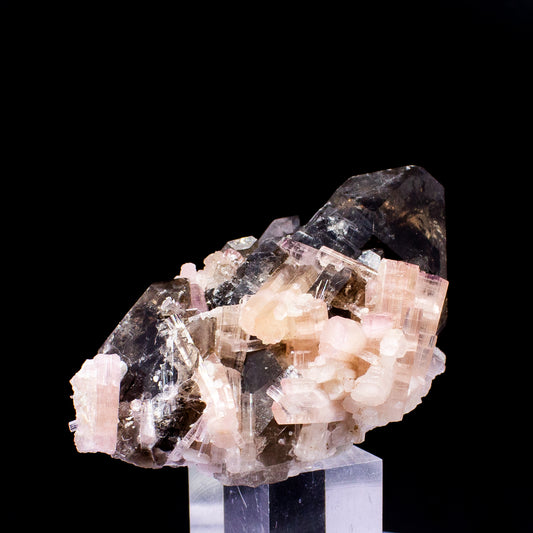 Pink Elbaite Tourmaline Crystals on Gorgeous Smoky Quartz