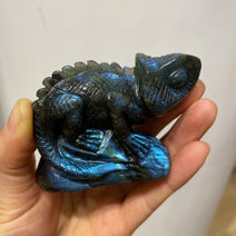 Labradorite Lizard