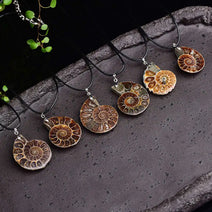 Natural Ammonite Fossil Conch Necklace