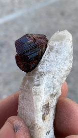 Gemmy Spessartine Garnet and Quartz Specimen (44g)