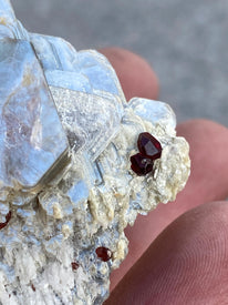 Exquisite Spessartine Garnet on Muscovite with Aquamarine and Feldspar (255g)