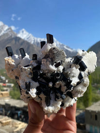 Mesmerizing Black Tourmaline Cluster on Albite and Muscovite | 1.2kg