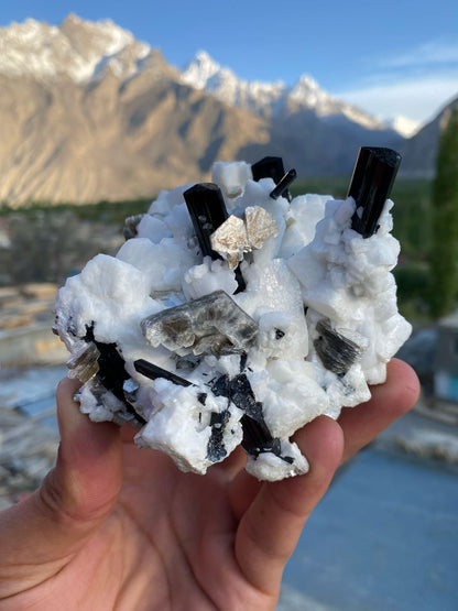 Stunning Black Tourmaline Crystals on Albite Matrix | 430g