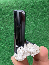 Terminated Black Tourmaline Crystal on Albite Matrix | Shigar Valley