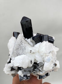 Black Tourmaline Crystals Cluster on Albite Matrix with Muscovite Flower | Shigar Valley