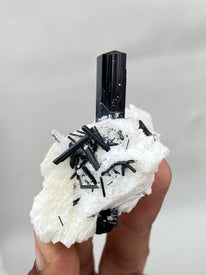 Set of 5 Lovely Black Tourmaline Specimens | Shigar Valley, Skardu