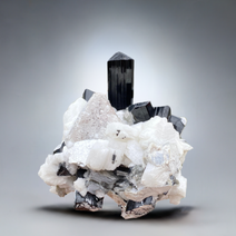 Black Tourmaline Crystals Cluster on Albite Matrix with Muscovite Flower | Shigar Valley