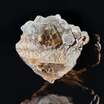 Exquisite Spessartine Garnet on Muscovite with Aquamarine and Feldspar (255g)