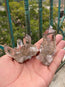 Pair of Himalayan Smoky Quartz Clusters - 207g