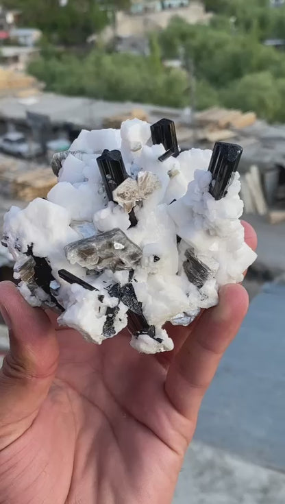 Stunning Black Tourmaline Crystals on Albite Matrix | 430g